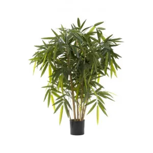 Artificial New Bamboo, 100cm by Florabelle, a Plants for sale on Style Sourcebook