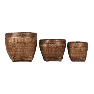Paume 3 Piece Rattan Planter Holder Set, Antique Brown by Florabelle, a Plant Holders for sale on Style Sourcebook