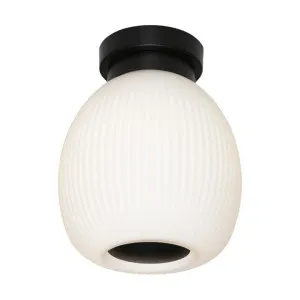 Garman Ribbed Glass Batten Fix Ceiling Light, Black by Cougar Lighting, a Fixed Lights for sale on Style Sourcebook