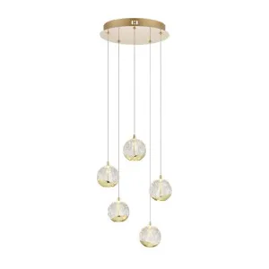Segovia Glass & Metal LED Cluster Pendant Light, 5 Light, Gold by Telbix, a Pendant Lighting for sale on Style Sourcebook