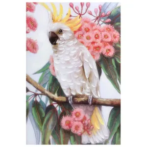 "Cockatoo on Gum Branch" Stretched Canvas Wall Art Painting, 90cm by PNC Imports, a Artwork & Wall Decor for sale on Style Sourcebook