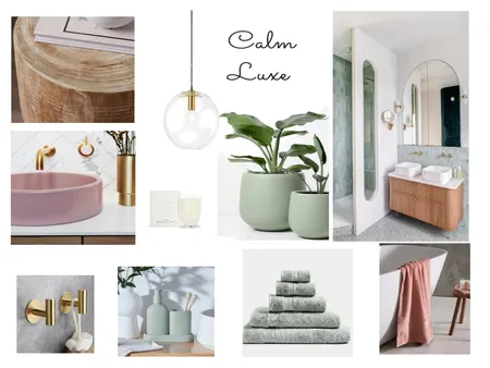 Bathroom Mood board Interior Design Mood Board by steph@vivabuildco on Style Sourcebook