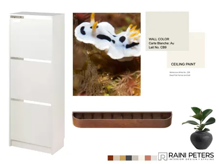 S M Hallway Interior Design Mood Board by Raini Peters Interior Design + Styling on Style Sourcebook