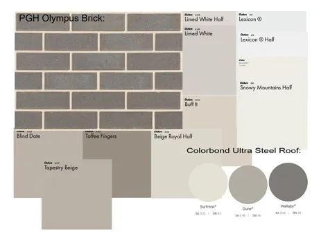 olympus brick with paint colours Interior Design Mood Board by clio.prees@education.nsw.gov.au on Style Sourcebook