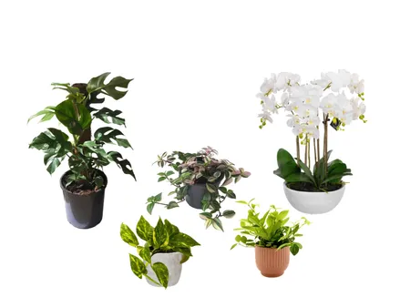 Plants Interior Design Mood Board by CC88 on Style Sourcebook