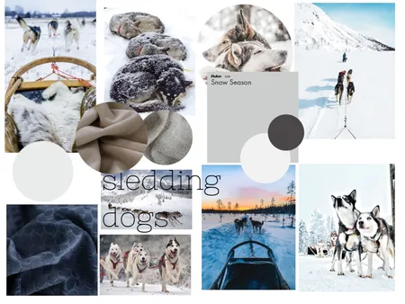 MB sledding dogs Interior Design Mood Board by DMQuinn on Style Sourcebook
