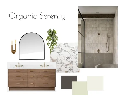 C.Faught Bathroom Organic Mood Interior Design Mood Board by alexnihmey on Style Sourcebook