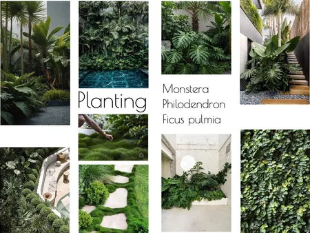 Planting Temira 1 Interior Design Mood Board by Olive & Pink on Style Sourcebook