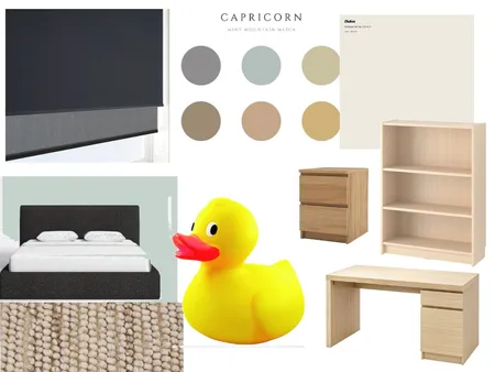 Zac's Room Interior Design Mood Board by Bee80 on Style Sourcebook