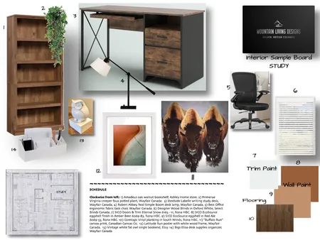 Module 9 - Furniture & Accessories - STUDY Interior Design Mood Board by shannonberry on Style Sourcebook
