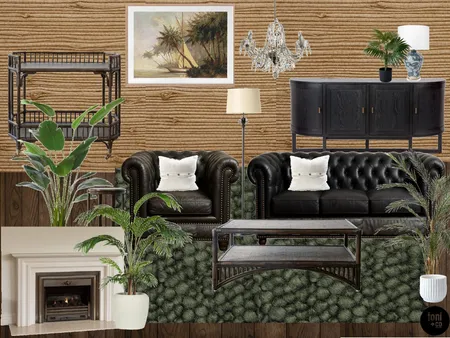FIRE ROOM #2 Interior Design Mood Board by Toni and Co on Style Sourcebook