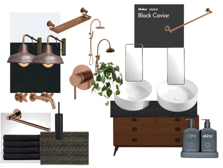 B & W Ensuite //Narrabri Interior Design Mood Board by emily.fuller12 on Style Sourcebook