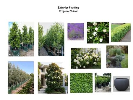 Exterior Planting Proposal Interior Design Mood Board by ADS Property Pty Ltd on Style Sourcebook