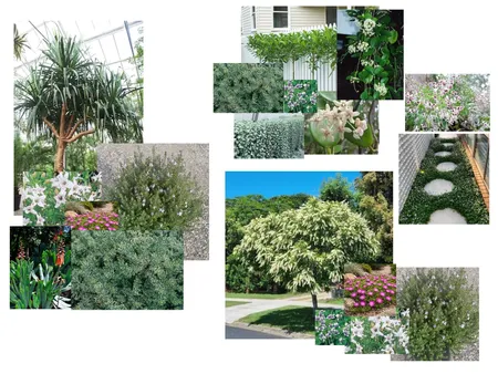 Duplex Landscaping Interior Design Mood Board by Kenzie George