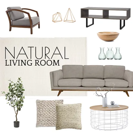 Natural Living Room Interior Design Mood Board by Fmi_1 on Style Sourcebook