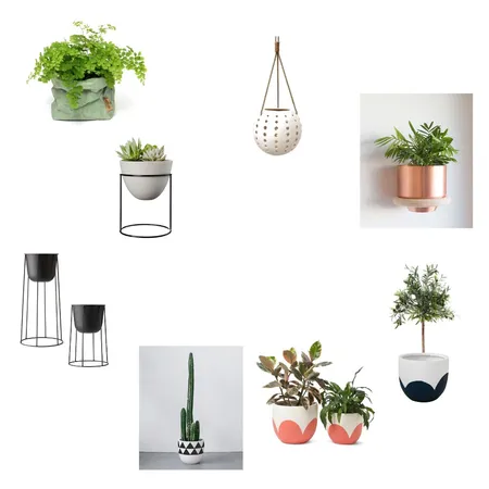 Plants and pots Interior Design Mood Board by Jesssawyerinteriordesign on Style Sourcebook
