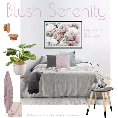 Blush Dreams Interior Design Mood Board by girlwholovesinteriors on Style Sourcebook