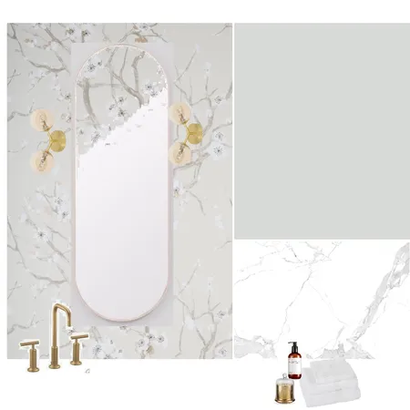 washroom assignment 5 Interior Design Mood Board by Jesssawyerinteriordesign on Style Sourcebook