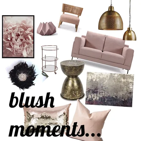 Blush moments... Interior Design Mood Board by Fathima on Style Sourcebook