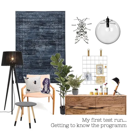Teenagers room Interior Design Mood Board by Lillelykkeblog on Style Sourcebook