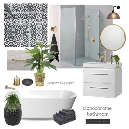 Monochrome bathroom Interior Design Mood Board by Silver Star Design Ltd on Style Sourcebook