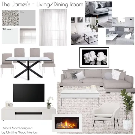 James Living Room Project Interior Design Mood Board by ChampagneAndCoconuts on Style Sourcebook