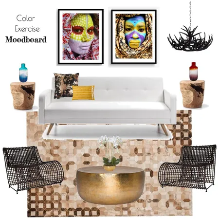 color exercise Interior Design Mood Board by anacai88 on Style Sourcebook