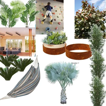 Palm Springs 2 Interior Design Mood Board by LizShashkof on Style Sourcebook