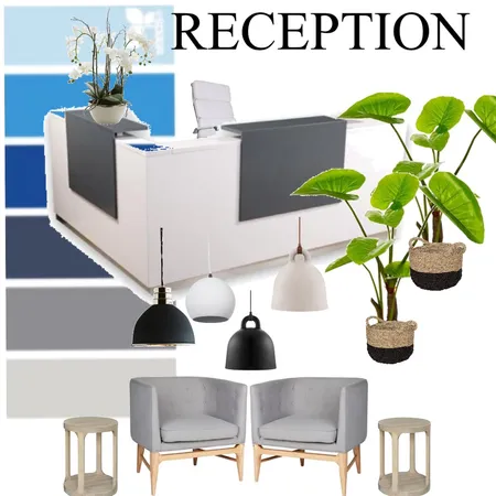 Grinrod RECEPTION Interior Design Mood Board by nicolestewart on Style Sourcebook