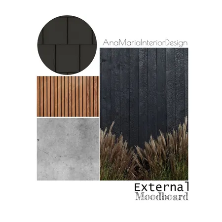 External Interior Design Mood Board by Ana Maria Jurado on Style Sourcebook