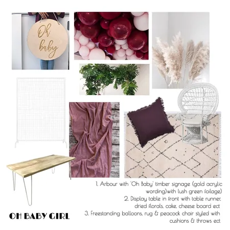 Oh Baby Girl Interior Design Mood Board by modernlovestyleco on Style Sourcebook