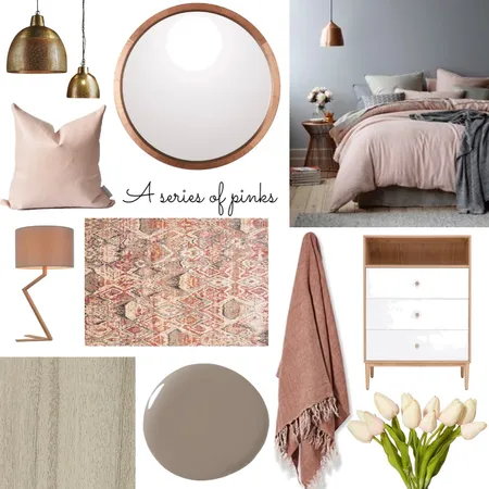 pink Interior Design Mood Board by claireswanepoel on Style Sourcebook