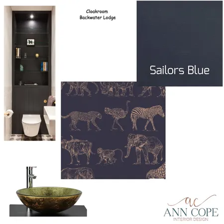 Cloak Room Interior Design Mood Board by AnnCope on Style Sourcebook