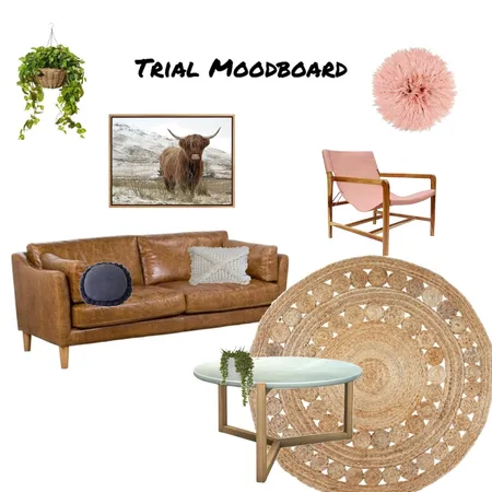 Trial Moodboard Interior Design Mood Board by loulou on Style Sourcebook