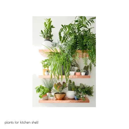 celeste plants Interior Design Mood Board by The Secret Room on Style Sourcebook