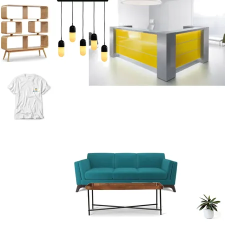 Evol_interior shop Interior Design Mood Board by catutza on Style Sourcebook