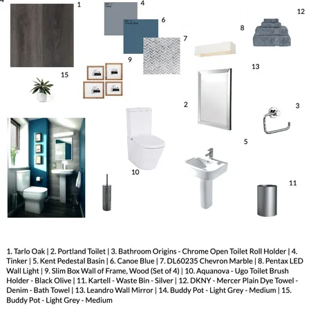 Blue Monochromatic Toilet Interior Design Mood Board by Annalisa on Style Sourcebook