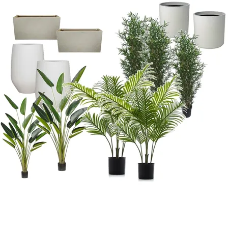 plants Emilies moodboard Interior Design Mood Board by Bechet on Style Sourcebook