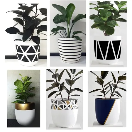 pot plants Interior Design Mood Board by angiecooper on Style Sourcebook