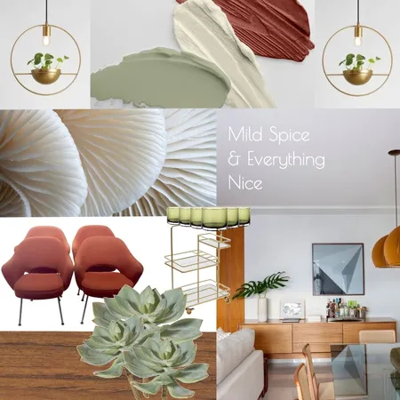 Mild spice of the mid century modern Interior Design Mood Board by cbabott on Style Sourcebook