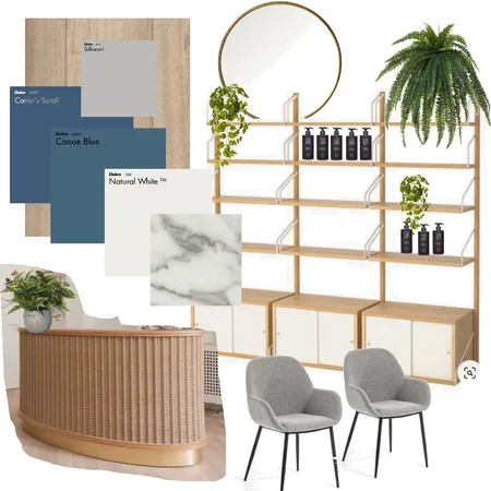 Darling Corner Osteo Interior Design Mood Board by bettina_brent on Style Sourcebook