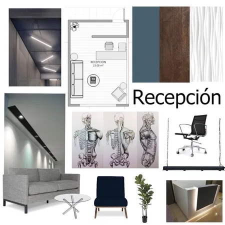 recepcion Interior Design Mood Board by julieta.albaq on Style Sourcebook