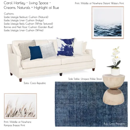 Carol Hartley Living Space2 Interior Design Mood Board by GraceR on Style Sourcebook