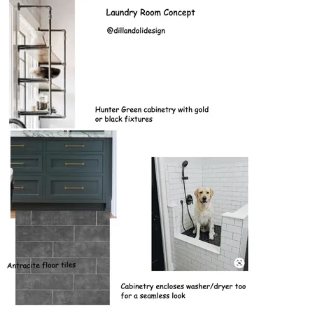 NorthridgeRemodel:laundry Interior Design Mood Board by Dillandolidesign on Style Sourcebook