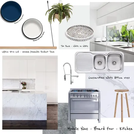 Module Nine - Kitchen Interior Design Mood Board by ID.HAVEN on Style Sourcebook