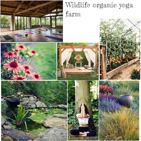 Wildlife organic yoga farm Interior Design Mood Board by Juli19 on Style Sourcebook