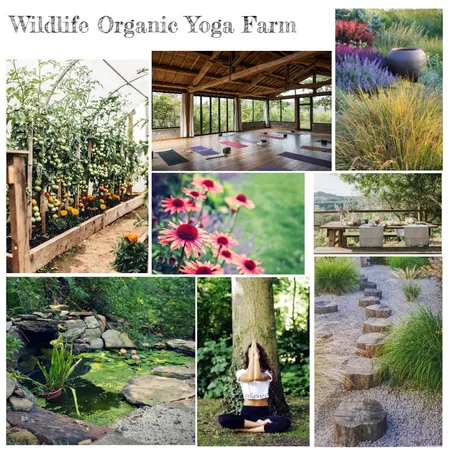 yoga farm Interior Design Mood Board by Juli19 on Style Sourcebook