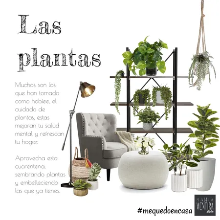 plantas Interior Design Mood Board by mariamentira on Style Sourcebook