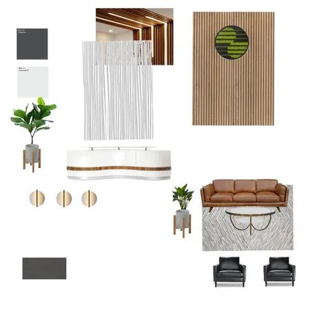 Reception Interior Design Mood Board by Mindful Interiors on Style Sourcebook