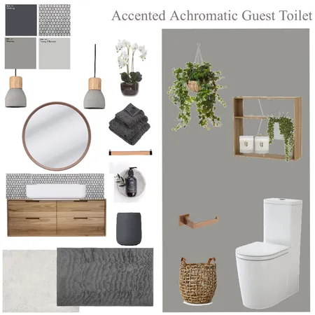 Accented Achromatic guest toilet Interior Design Mood Board by Hayloul79 on Style Sourcebook